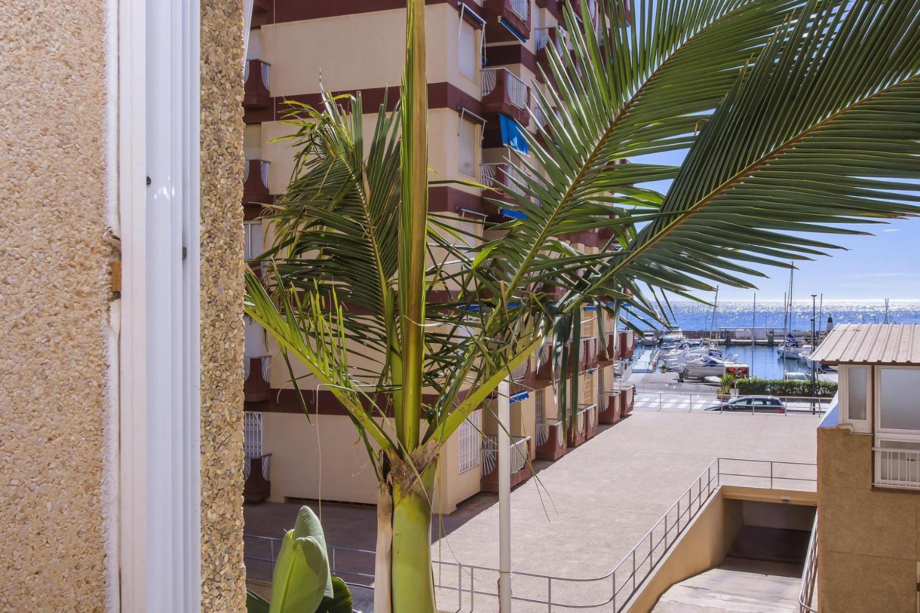 Aguilas Delicias Piscina Wifi Ac Parking Gratis Екстериор снимка